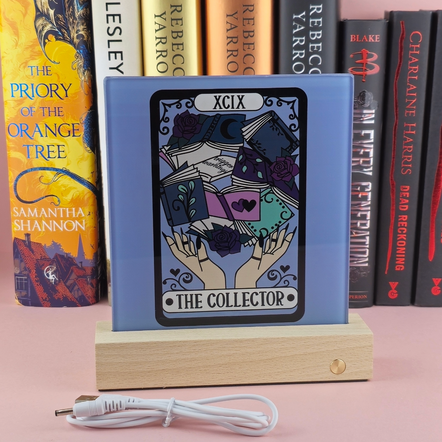 LED Light Up Book Shelf Decorative Light