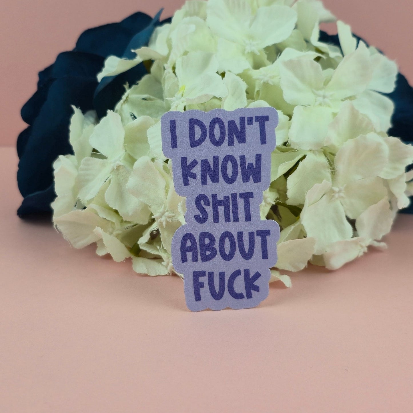 Waterproof Sticker - I don't know shit about fuck Single Sticker - Sarcastic Sticker - Funny Sticker - Sassy
