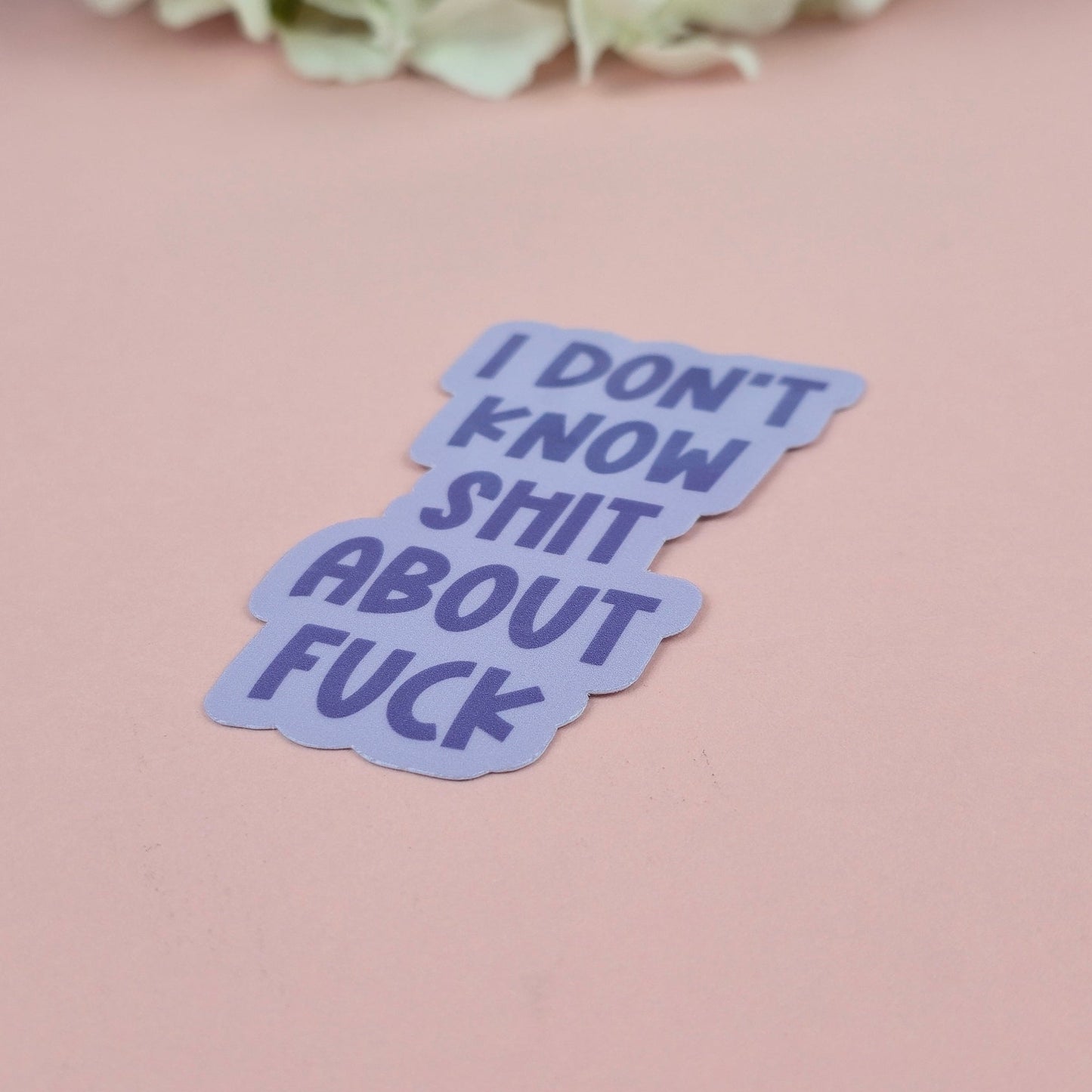 Waterproof Sticker - I don't know shit about fuck Single Sticker - Sarcastic Sticker - Funny Sticker - Sassy