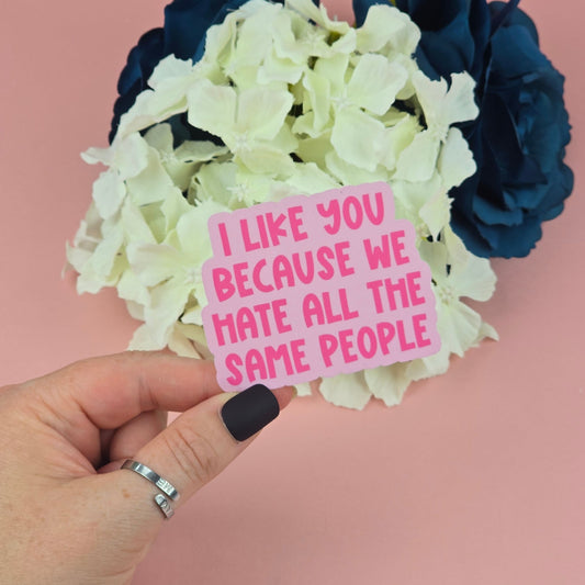 Waterproof Sticker - I like you because we hate all the same people Single Sticker - Sarcastic Sticker |-Funny Sticker - Sassy
