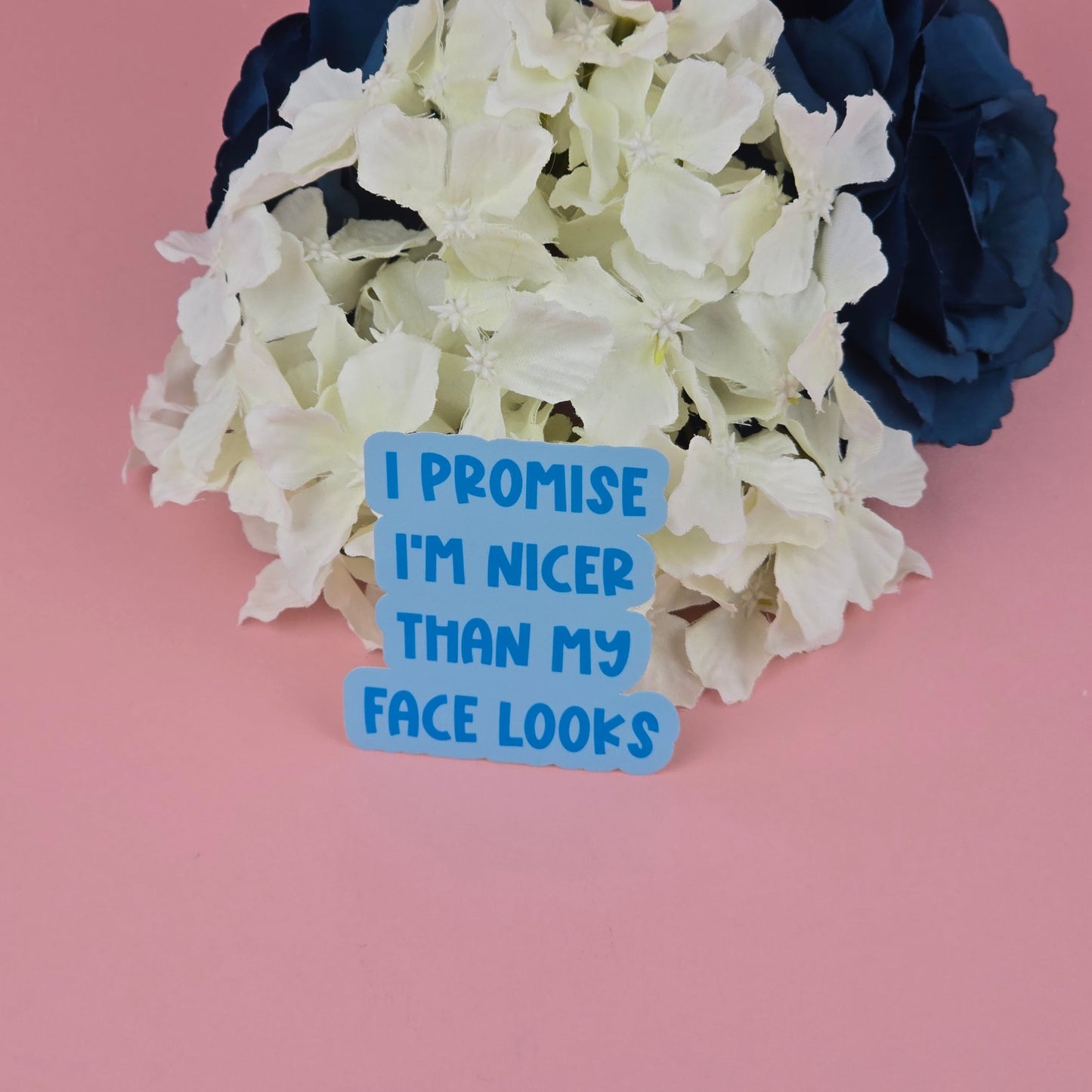 Waterproof Sticker - I promise I'm nicer than my face looks Single Sticker - Sarcastic Sticker - Funny Sticker - Sassy