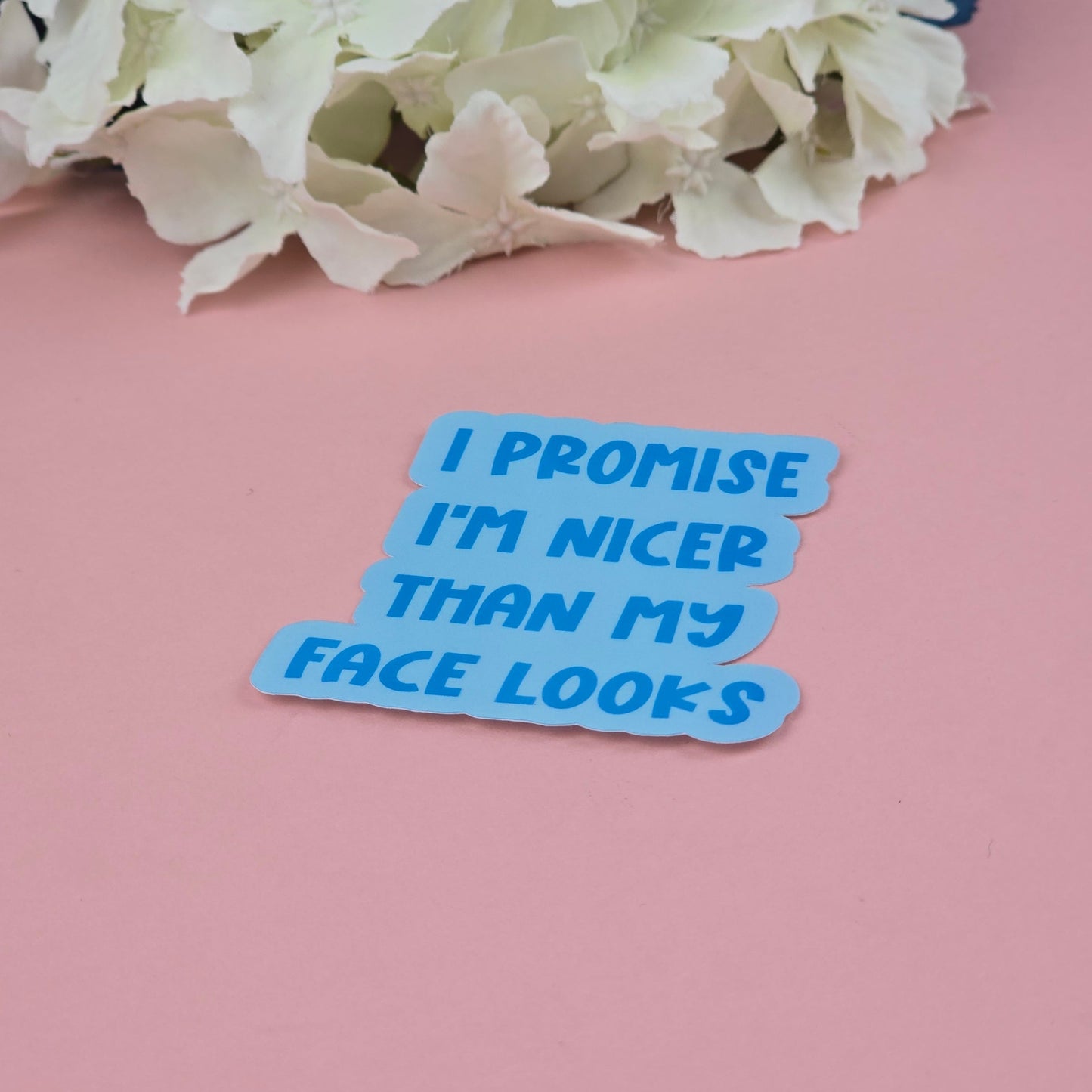 Waterproof Sticker - I promise I'm nicer than my face looks Single Sticker - Sarcastic Sticker - Funny Sticker - Sassy