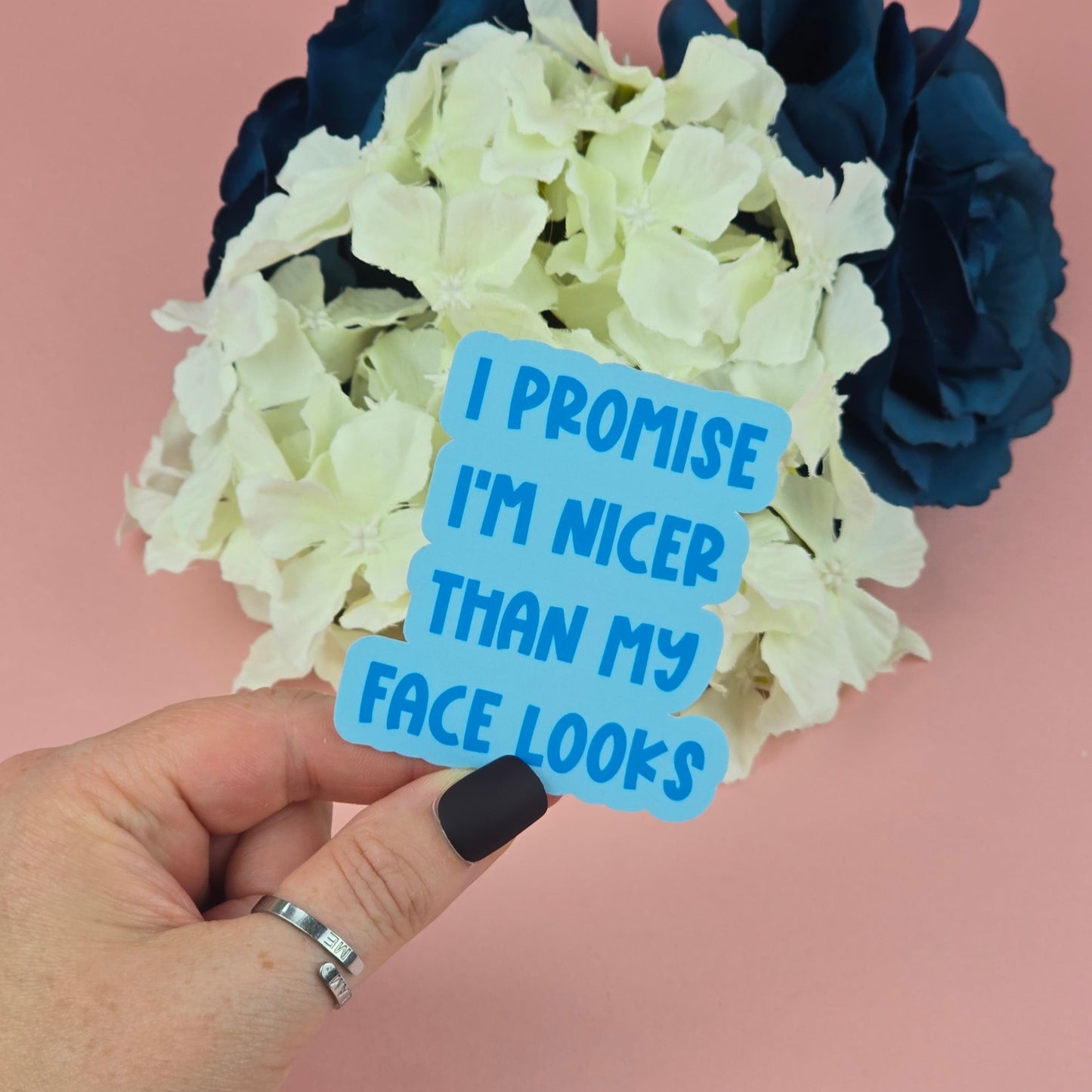 Waterproof Sticker - I promise I'm nicer than my face looks Single Sticker - Sarcastic Sticker - Funny Sticker - Sassy