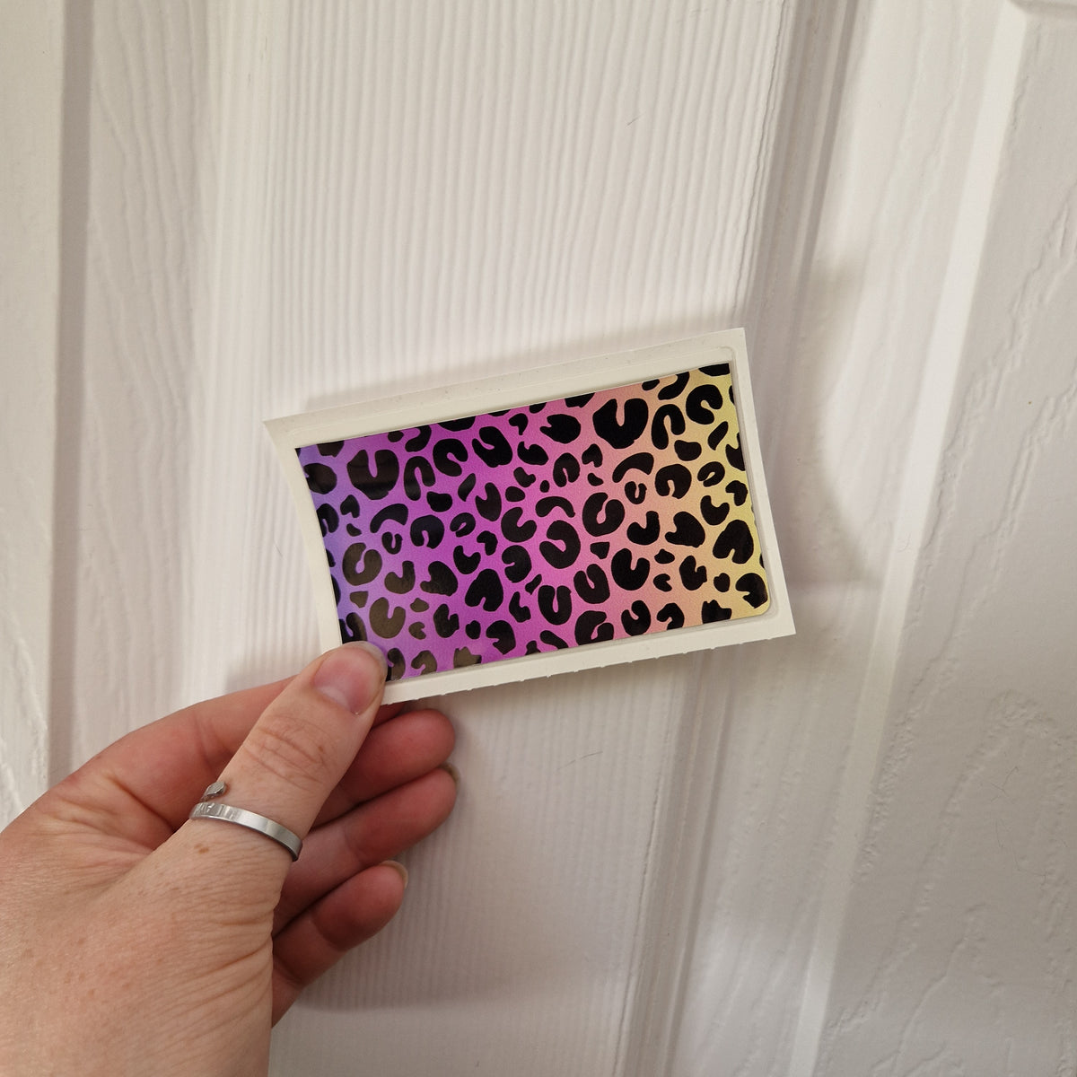 Rainbow Leopard Sticker Pockets - DISCONTINUED