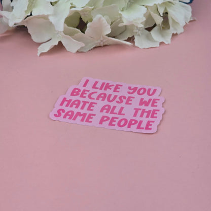Waterproof Sticker - I like you because we hate all the same people Single Sticker - Sarcastic Sticker |-Funny Sticker - Sassy