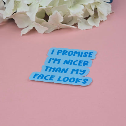 Waterproof Sticker - I promise I'm nicer than my face looks Single Sticker - Sarcastic Sticker - Funny Sticker - Sassy