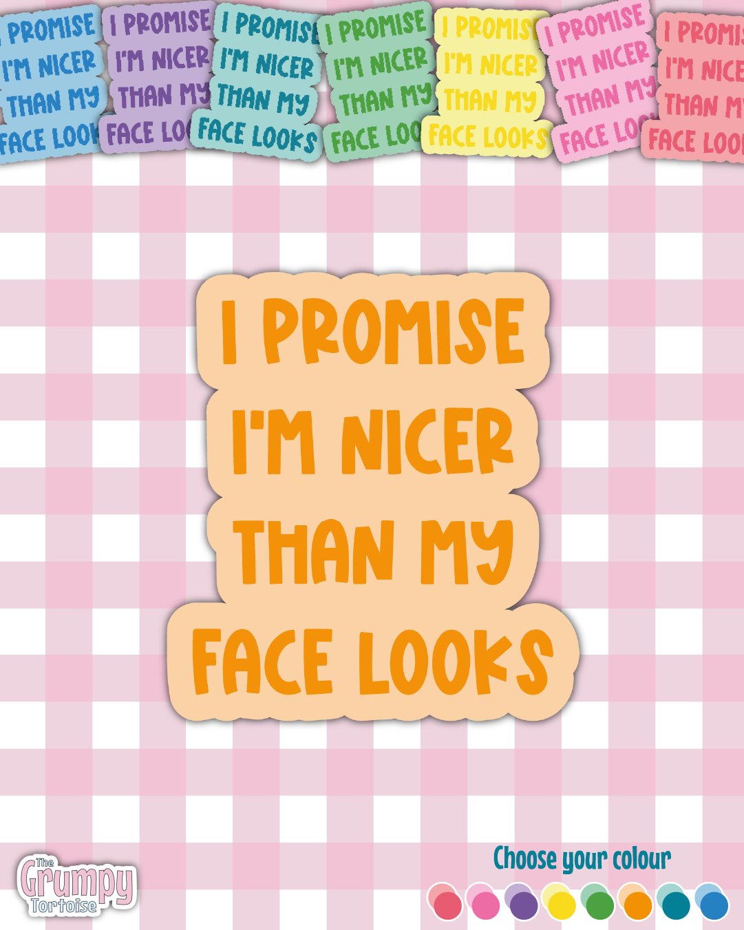 Waterproof Sticker - I promise I'm nicer than my face looks Single Sticker - Sarcastic Sticker - Funny Sticker - Sassy