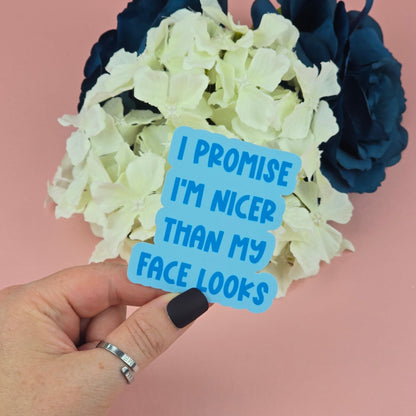 Waterproof Sticker - I promise I'm nicer than my face looks Single Sticker - Sarcastic Sticker - Funny Sticker - Sassy