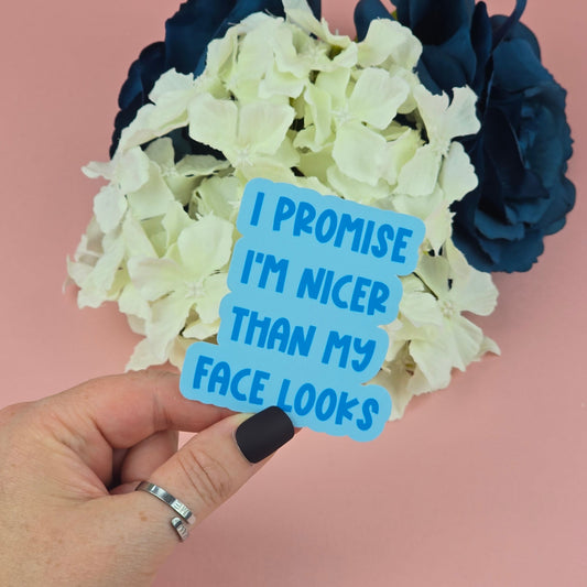 Waterproof Sticker - I promise I'm nicer than my face looks Single Sticker - Sarcastic Sticker - Funny Sticker - Sassy
