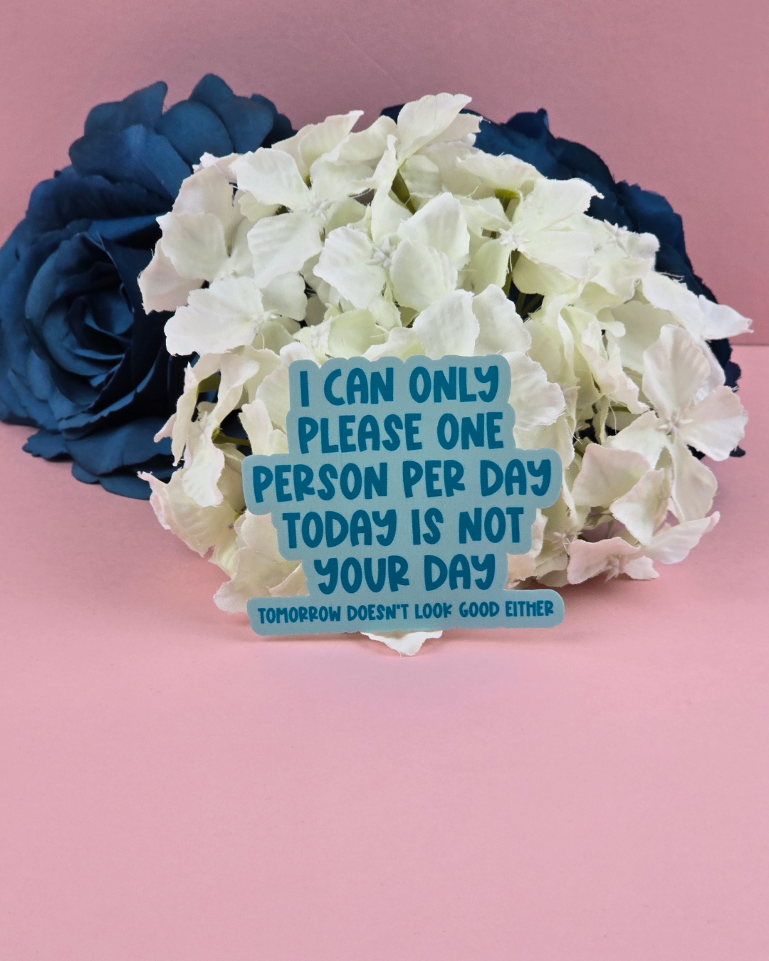 Waterproof Sticker - I can only please one person per day - Sarcastic Sticker - Funny Sticker - Sassy