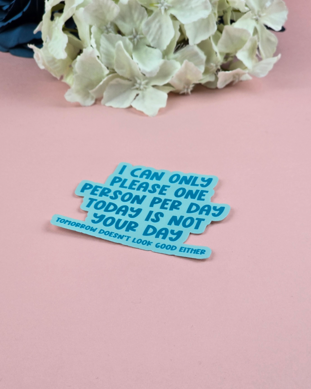 Waterproof Sticker - I can only please one person per day - Sarcastic Sticker - Funny Sticker - Sassy