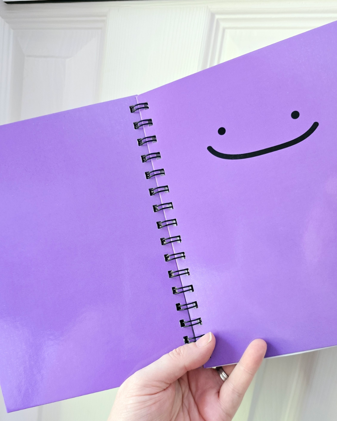 Spiral Notebooks - Ditto - Lined Journal - Gift